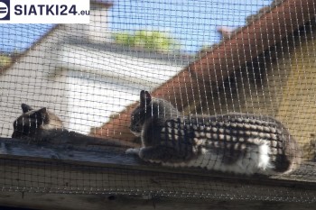 Siatki Kłodzko - Siatka na balkony dla kota i zabezpieczenie dzieci dla terenów Kłodzka
