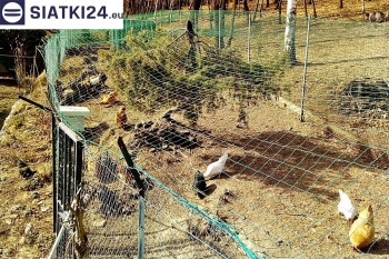 Siatki Kłodzko - Siatka na woliery - zabezpieczenia ptaków w hodowli dla terenów Kłodzka