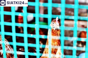 Siatki Kłodzko - Siatka na woliery - zabezpieczenia ptaków w hodowli dla terenów Kłodzka